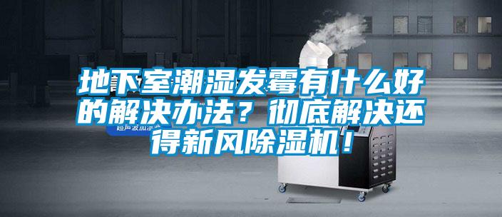 地下室潮濕發(fā)霉有什么好的解決辦法？徹底解決還得新風(fēng)除濕機(jī)！