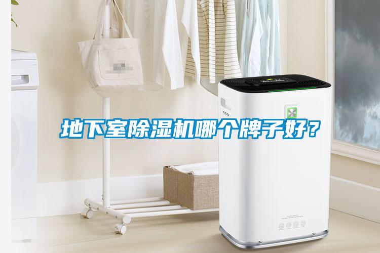 地下室除濕機哪個牌子好？