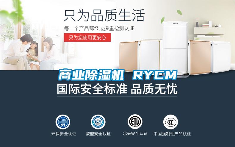 商業(yè)除濕機(jī) RYCM