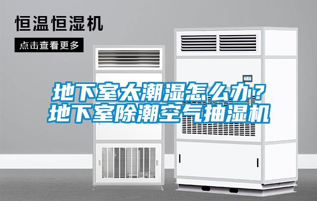地下室太潮濕怎么辦？地下室除潮空氣抽濕機