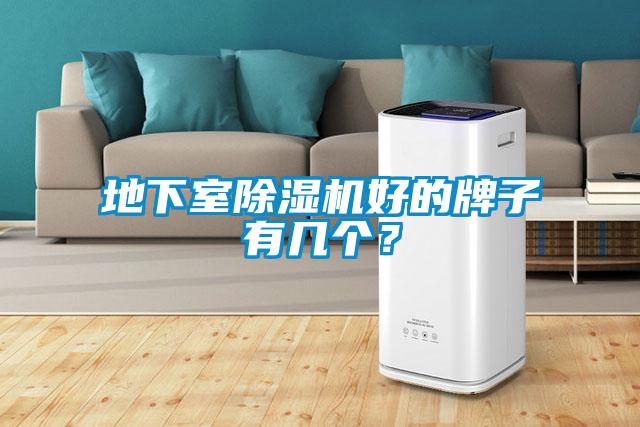 地下室除濕機(jī)好的牌子有幾個(gè)？