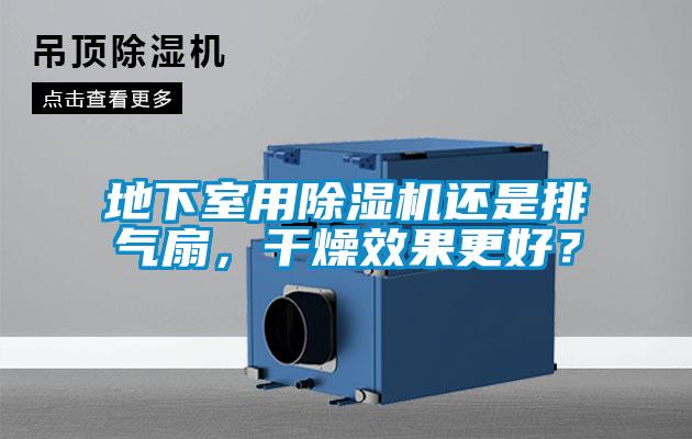 地下室用除濕機(jī)還是排氣扇，干燥效果更好？