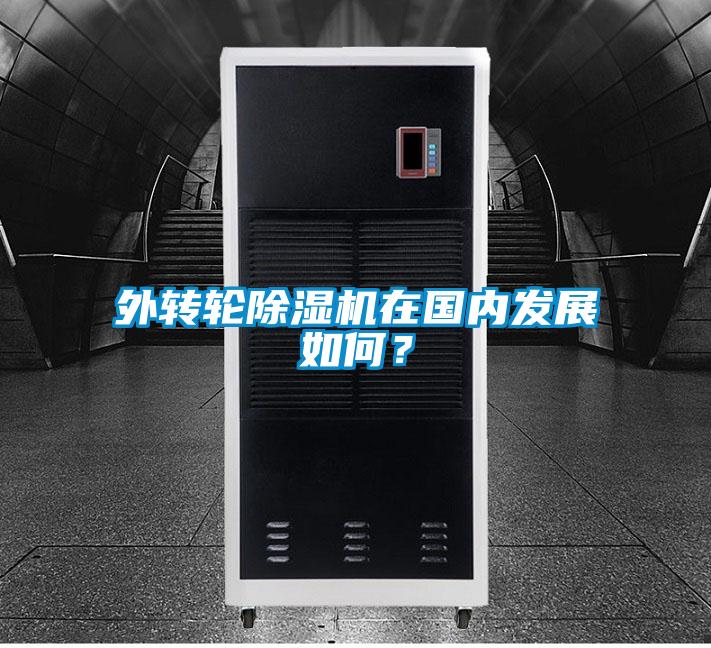 外轉(zhuǎn)輪除濕機(jī)在國內(nèi)發(fā)展如何？