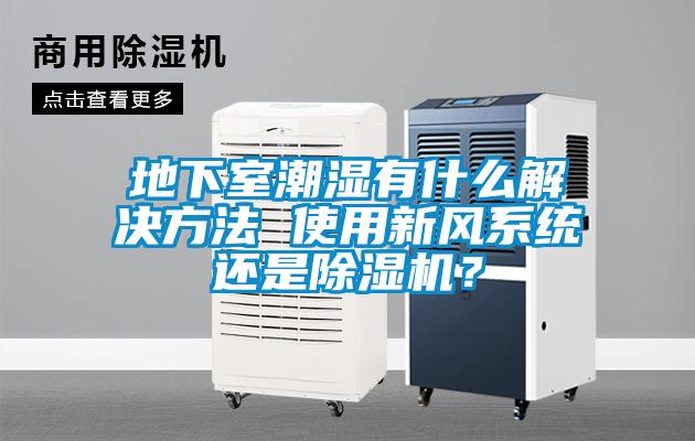 地下室潮濕有什么解決方法 使用新風(fēng)系統(tǒng)還是除濕機(jī)？