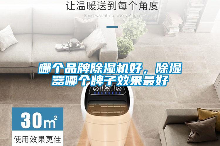 哪個(gè)品牌除濕機(jī)好，除濕器哪個(gè)牌子效果最好