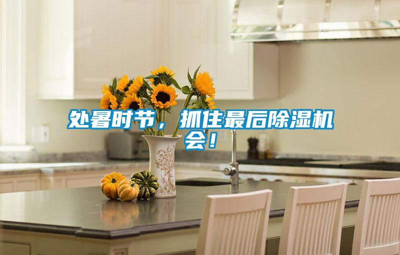 處暑時節(jié)，抓住最后除濕機會！
