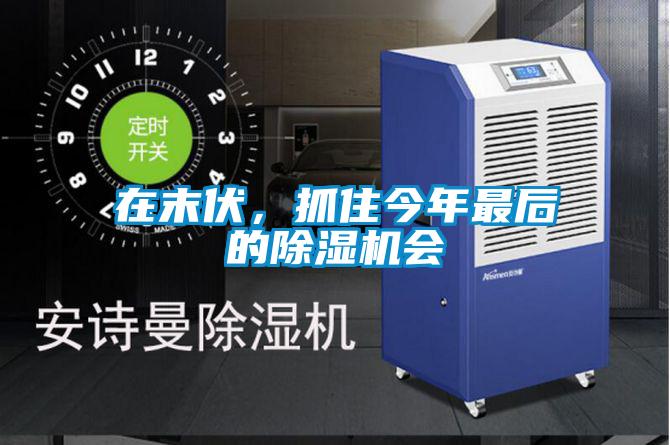 在末伏，抓住今年最后的除濕機(jī)會