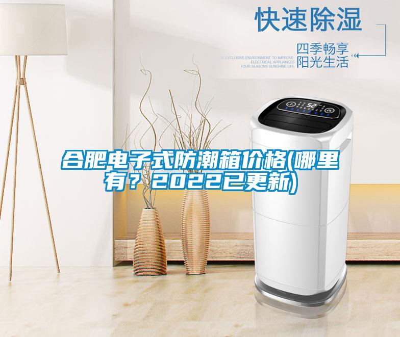 合肥電子式防潮箱價格(哪里有？2022已更新)
