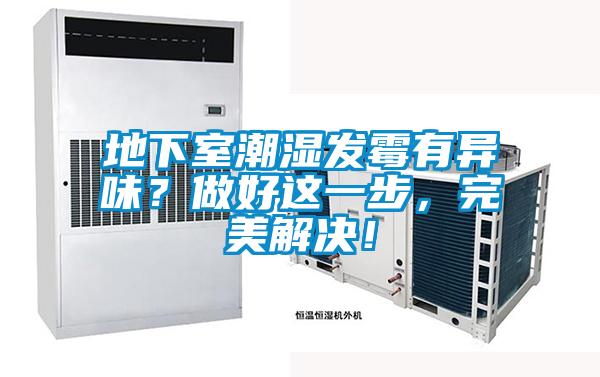 地下室潮濕發(fā)霉有異味？做好這一步，完美解決！