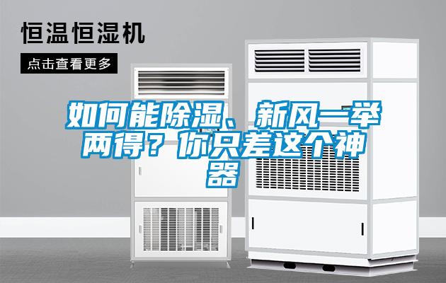 如何能除濕、新風(fēng)一舉兩得？你只差這個(gè)神器
