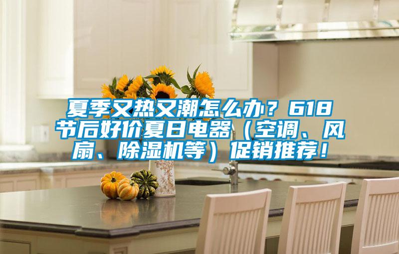 夏季又熱又潮怎么辦？618節(jié)后好價(jià)夏日電器（空調(diào)、風(fēng)扇、除濕機(jī)等）促銷(xiāo)推薦！