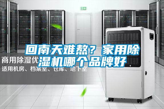 回南天難熬？家用除濕機(jī)哪個(gè)品牌好