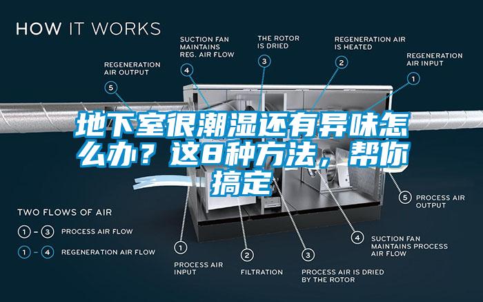 地下室很潮濕還有異味怎么辦？這8種方法，幫你搞定