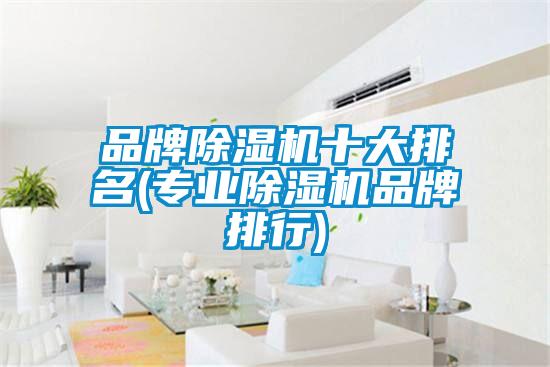 品牌除濕機(jī)十大排名(專(zhuān)業(yè)除濕機(jī)品牌排行)
