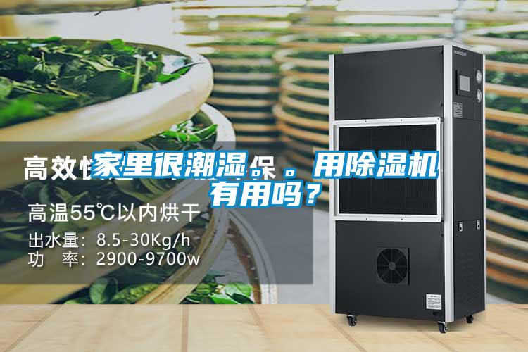 家里很潮濕。。用除濕機(jī)有用嗎？