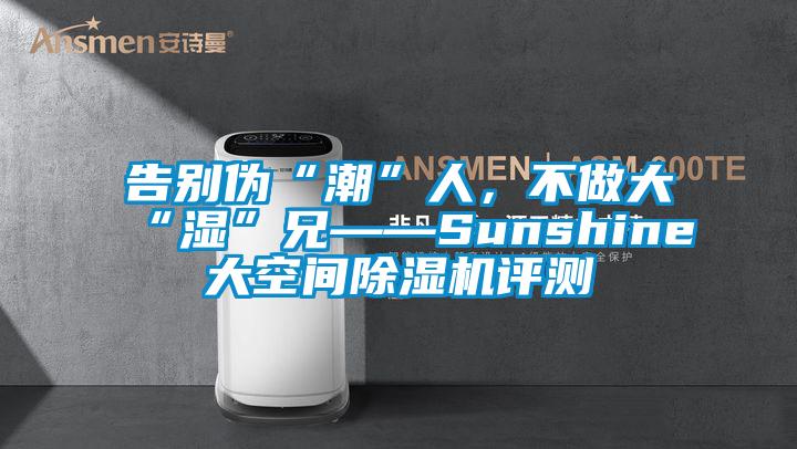 告別偽“潮”人，不做大“濕”兄——Sunshine大空間除濕機(jī)評測