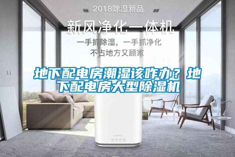 地下配電房潮濕該咋辦？地下配電房大型除濕機(jī)
