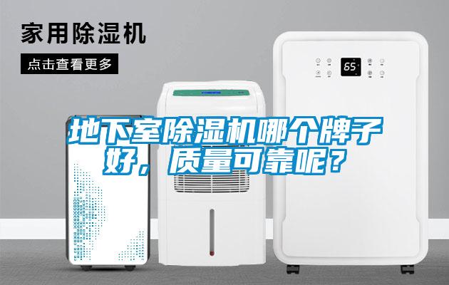 地下室除濕機哪個牌子好，質量可靠呢？