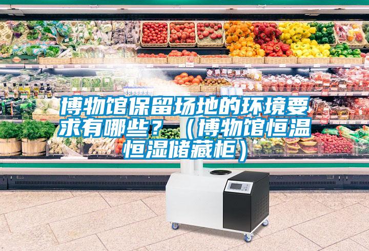 博物館保留場地的環(huán)境要求有哪些？（博物館恒溫恒濕儲藏柜）