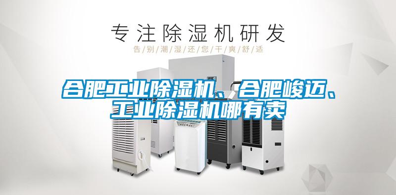 合肥工業(yè)除濕機、合肥峻邁、工業(yè)除濕機哪有賣