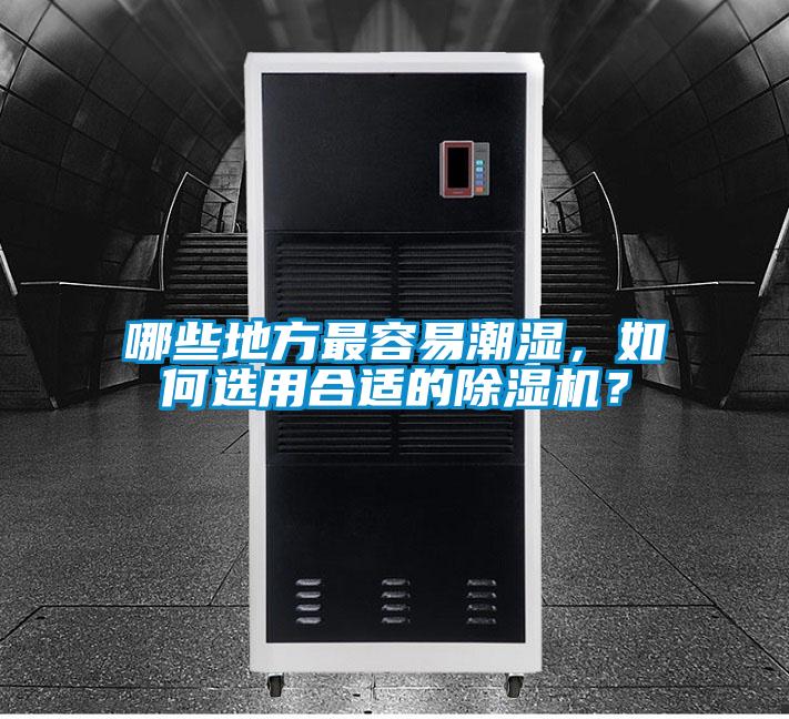 哪些地方最容易潮濕，如何選用合適的除濕機(jī)？