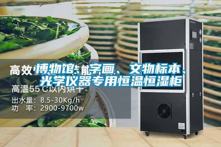 博物館、字畫、文物標本、光學儀器專用恒溫恒濕柜