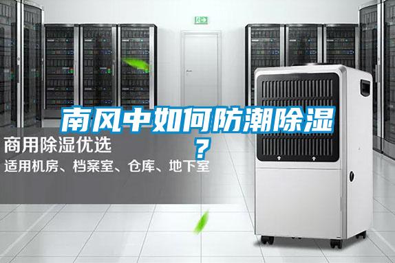 南風中如何防潮除濕？