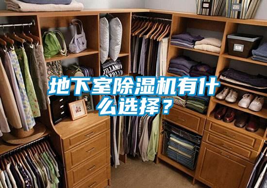 地下室除濕機(jī)有什么選擇？