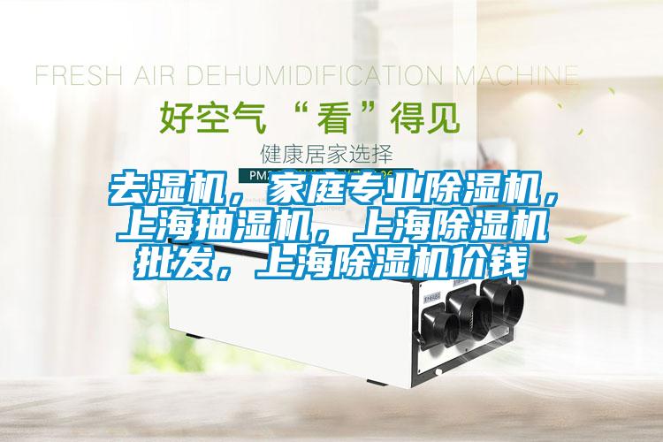 去濕機(jī)，家庭專業(yè)除濕機(jī)，上海抽濕機(jī)，上海除濕機(jī)批發(fā)，上海除濕機(jī)價(jià)錢(qián)