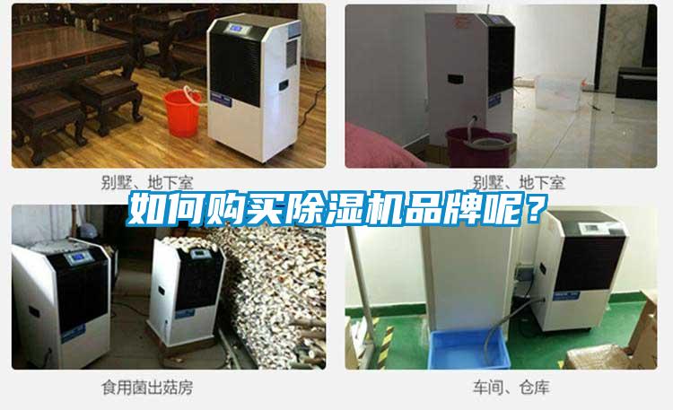 如何購(gòu)買除濕機(jī)品牌呢？