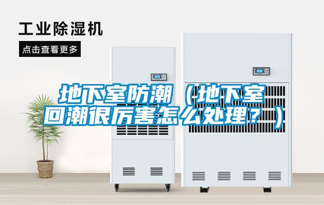 地下室防潮（地下室回潮很厲害怎么處理？）