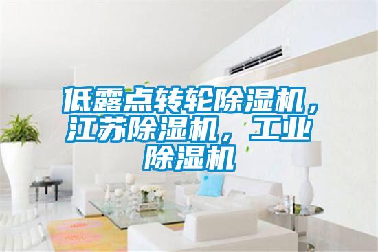 低露點(diǎn)轉(zhuǎn)輪除濕機(jī)，江蘇除濕機(jī)，工業(yè)除濕機(jī)