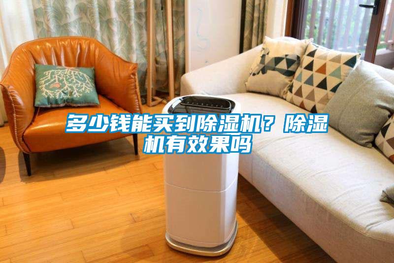 多少錢能買到除濕機(jī)？除濕機(jī)有效果嗎
