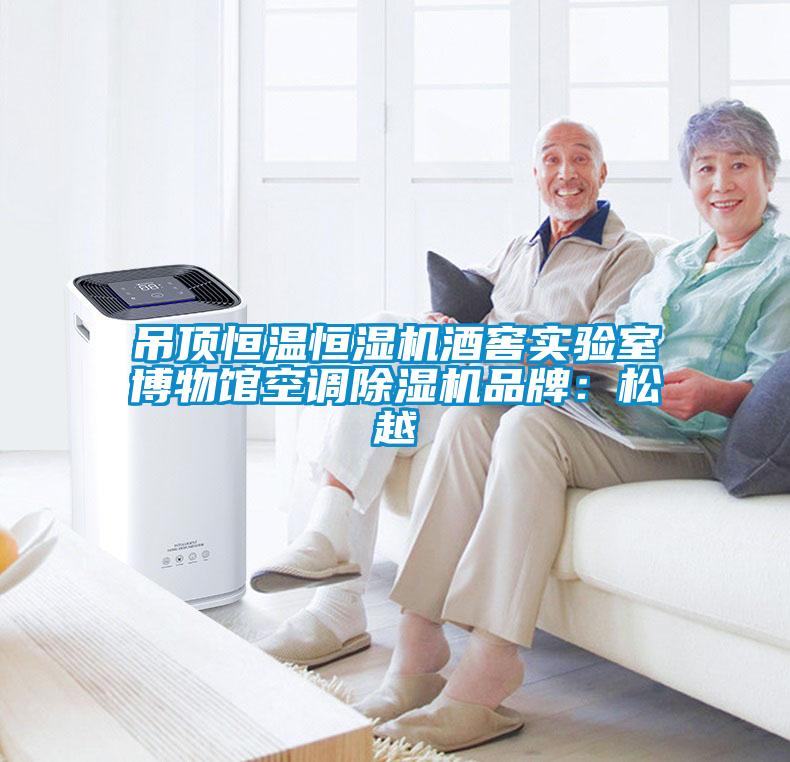 吊頂恒溫恒濕機(jī)酒窖實驗室博物館空調(diào)除濕機(jī)品牌：松越