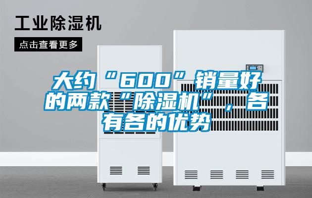 大約“600”銷量好的兩款“除濕機(jī)”，各有各的優(yōu)勢(shì)