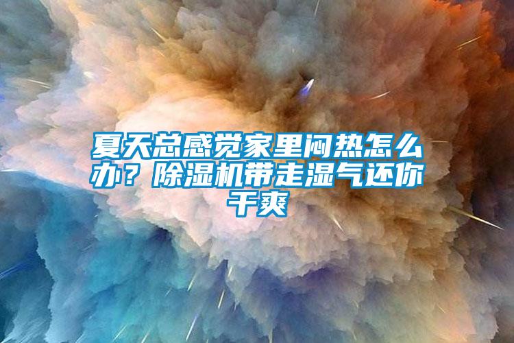 夏天總感覺家里悶熱怎么辦？除濕機(jī)帶走濕氣還你干爽
