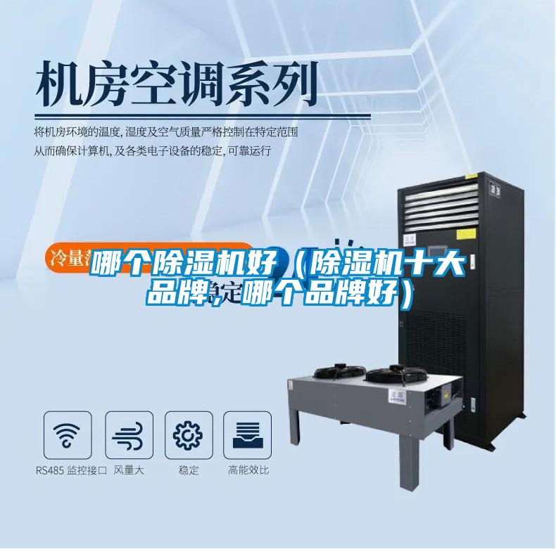 哪個除濕機好（除濕機十大品牌，哪個品牌好）