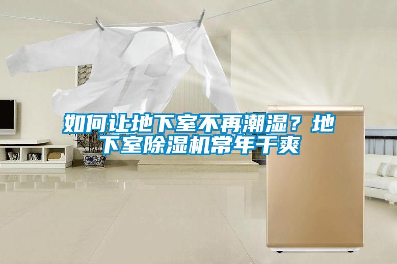 如何讓地下室不再潮濕？地下室除濕機(jī)常年干爽