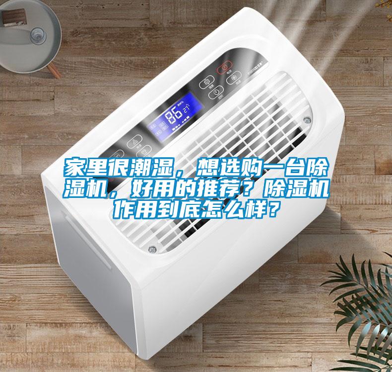 家里很潮濕，想選購一臺(tái)除濕機(jī)，好用的推薦？除濕機(jī)作用到底怎么樣？