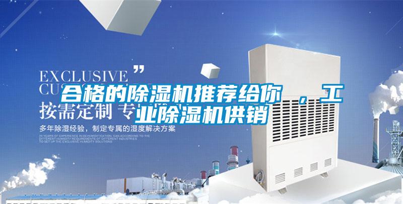 合格的除濕機(jī)推薦給你 ，工業(yè)除濕機(jī)供銷