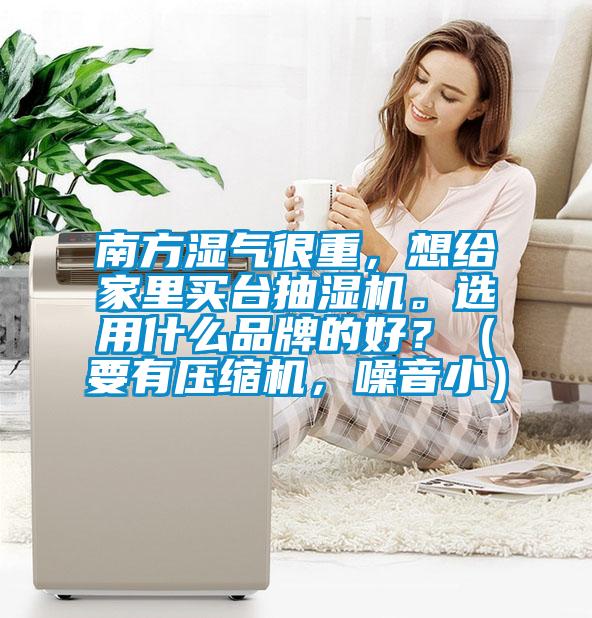 南方濕氣很重，想給家里買臺抽濕機。選用什么品牌的好？（要有壓縮機，噪音小）