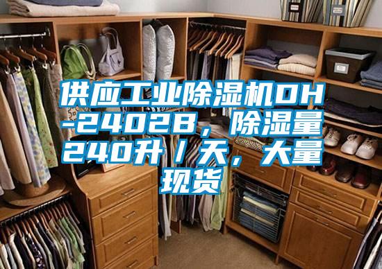 供應(yīng)工業(yè)除濕機(jī)DH-2402B，除濕量240升／天，大量現(xiàn)貨