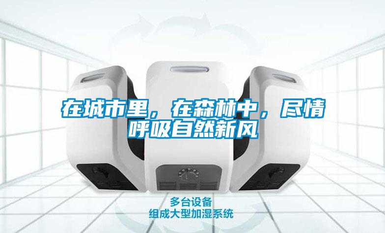 在城市里，在森林中，盡情呼吸自然新風(fēng)
