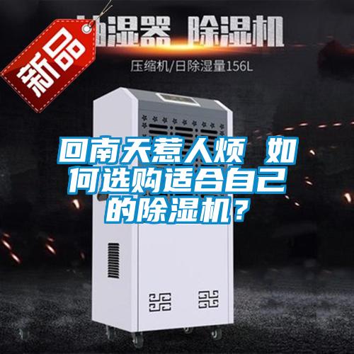 回南天惹人煩 如何選購適合自己的除濕機？