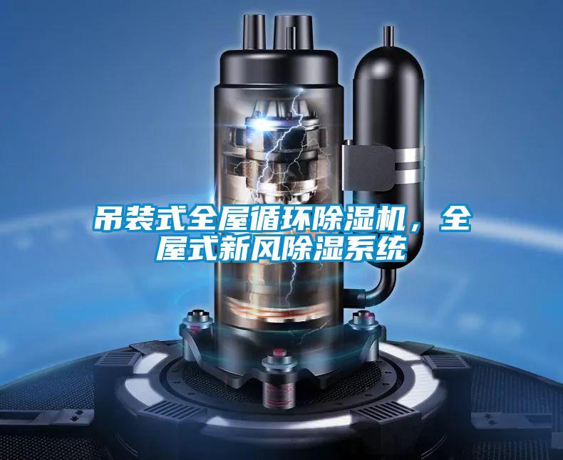 吊裝式全屋循環(huán)除濕機，全屋式新風(fēng)除濕系統(tǒng)