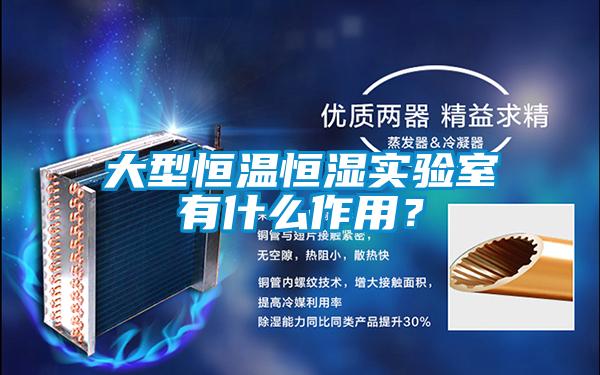 大型恒溫恒濕實(shí)驗(yàn)室有什么作用？