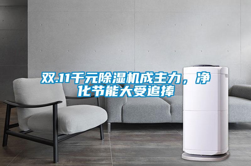 雙.11千元除濕機(jī)成主力，凈化節(jié)能大受追捧