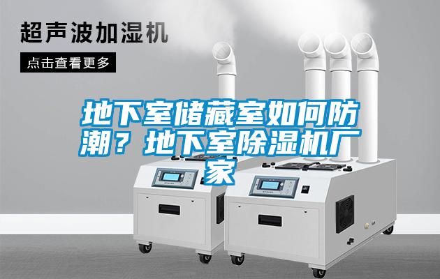 地下室儲(chǔ)藏室如何防潮？地下室除濕機(jī)廠家