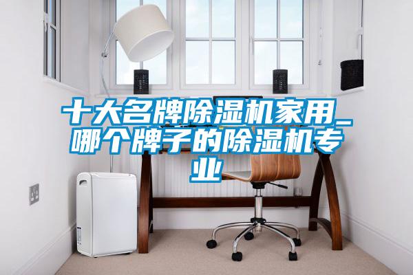十大名牌除濕機(jī)家用_哪個(gè)牌子的除濕機(jī)專(zhuān)業(yè)