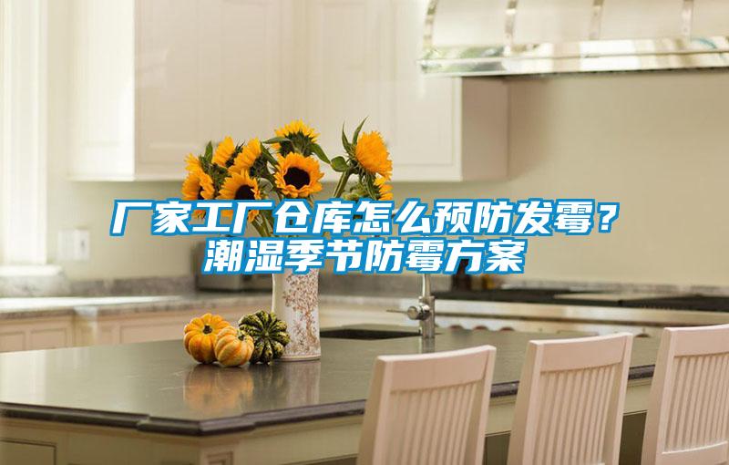 廠家工廠倉庫怎么預(yù)防發(fā)霉？潮濕季節(jié)防霉方案